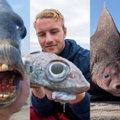 3 keisčiausi žvejų laimikiai: dinozauras, gelmių žuvis su kone žmogaus dantimis ir monstras su kiaulės snukiu