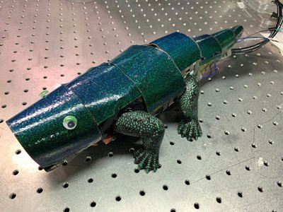 Seulo universitete pristatytas robotas chameleonas