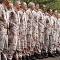 Lithuania plans to further raise number of troops, form 2 new batallions