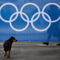 СМИ: Кремль идеально выбрал место для протестов на Олимпиаде