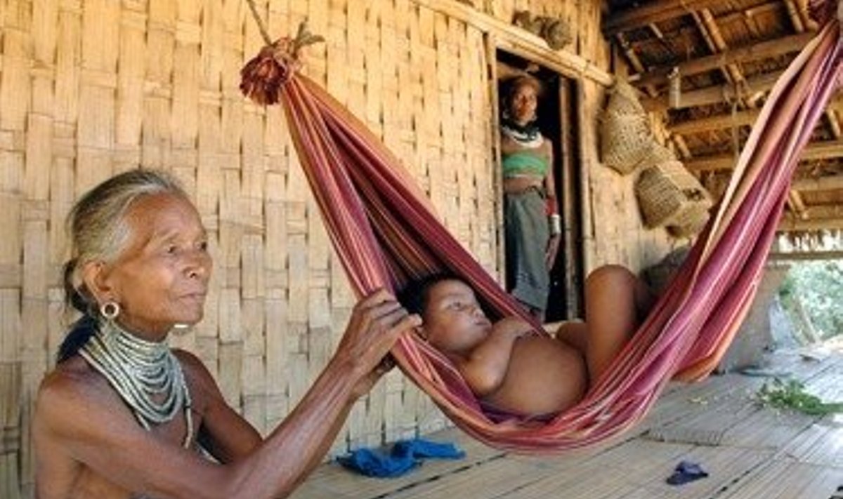 Vienos Indijos genties moteris supa hamake maliarija sergantį savo kūdikį. 