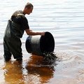 Kauno mariose pradėti įžuvinimo darbai – paleista tūkstančiai žuvų