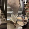 „Dolce & Gabbana“ suknele pasipuošusi Kim Kardashian vos pajudėjo: neradus lifto teko šokinėti laiptais