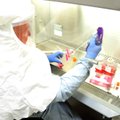 В Литве подтвердили еще пять случаев коронавируса, одна из заболевших - врач