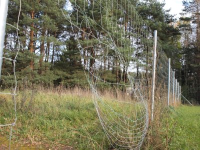 Šią tvorą kelyje Vilnius - Panevėžys nuolat suniokoja ne žvėrys