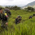 ЕС исключил FARC из списка террористических организаций