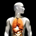 3D technologijos medicinoje: reikiamą organą tiesiog atspausdins