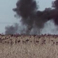 Ukrainiečiai valo Donecko srities laukus: minos ir sprogstamieji užtaisai slepiami net žuvusiųjų kūnuose