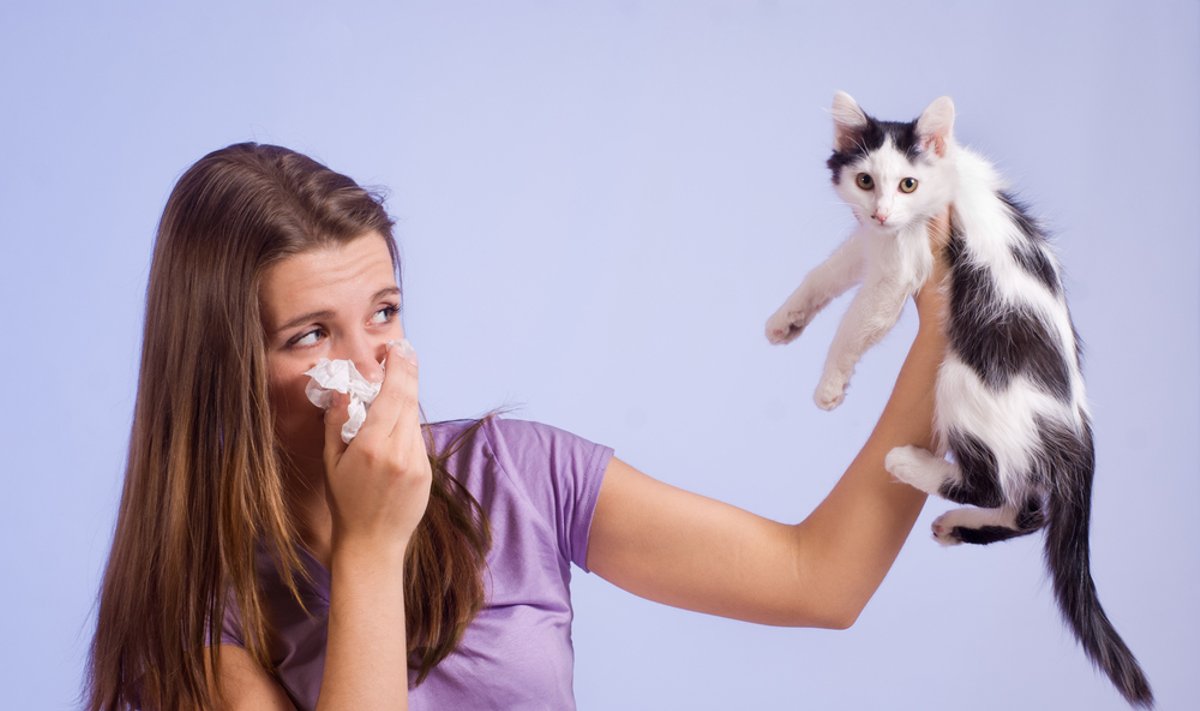 Alergija naminiams gyvūnams 