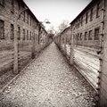 Mirties fabrikų gimimas: dėl tariamo žydų ir komunistų ryšio naciai sumojo kankinti net vaikus