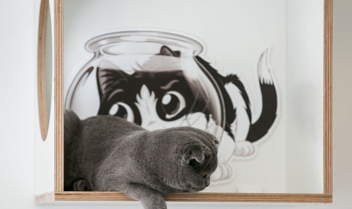 Kačių kavinės atidarymas