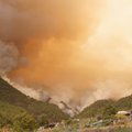Policija: miškų gaisrai Tenerifėje kilo dėl padegimo