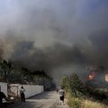 Dėl gaisrų įsakyta evakuoti žmones prie dviejų vidurio Graikijos miestų