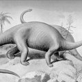 Ką apie istorijų poveikį galėtų papasakoti brontozaurai?