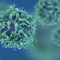 Onkologai apie imunoterapiją: ko galima tikėtis iš šio vėžio gydymo būdo?