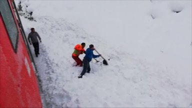 Austrijoje išgelbėta sniego griūties įkalinta kalnų ožka