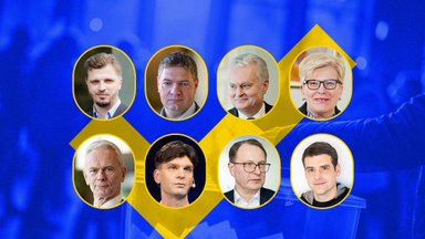 Финишная прямая президентских выборов в Литве: что показывают данные последнего опроса