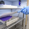 Литва и еще 5 стран призывают Брюссель надавить на BioNTech/Pfizer: это ставит под угрозу процесс вакцинации
