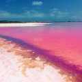 Vienoje populiariausių kelionių krypčių slepiasi turistų neatrastas lobis – rožinis ežeras