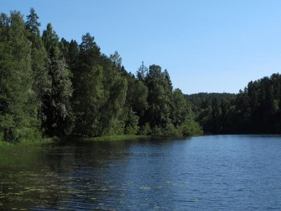 Pokenės ežeras