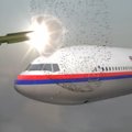 Крушение "Боинга" MH17 над Донбассом: Malaysia Airlines заплатила родным жертв