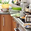 Kodėl daugelio žmonių virtuvės neatitiktų restoranams keliamų higienos reikalavimų