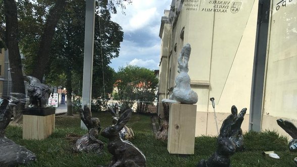 Vilniaus dailės akademijos pievoje – pulkas zuikių
