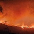 Miško gaisras Tenerifėje jau apėmė 10 tūkst. hektarų plotą