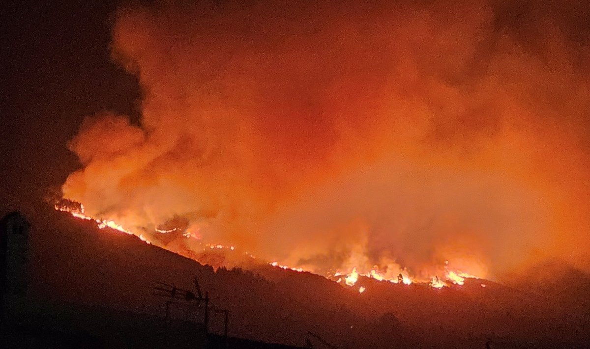 Tenerifėje kilo miško gaisras
