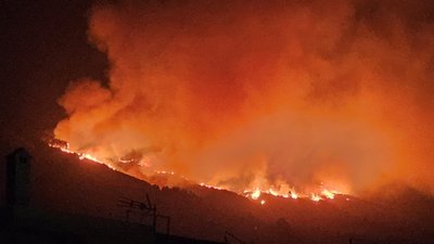 Tenerifėje kilo miško gaisras