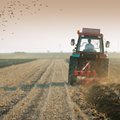 Baltic farmers and Lithuanian PM write to EU heads seeking compensation