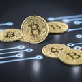 Ekspertas prognozuoja, kad „Blockchain“ technologija gali užimti dešimtadalį ekonomikos