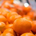 Mandarinų sezonas: 7 įdomūs faktai apie šiuos vaisius