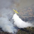 Ugniagesiams kol kas pavyko suvaldyti miškų ir krūmynų gaisrus Kipre
