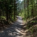 Panevėžio rajone esančiame miške rastas negyvo vyro kūnas