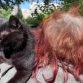 Nuo karo Ukrainoje pradžios pensininkė rūpinasi šeimininkų paliktomis katėmis