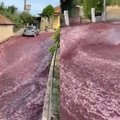 Portugalijoje – neeilinis incidentas: gatves užliejo raudonas vynas