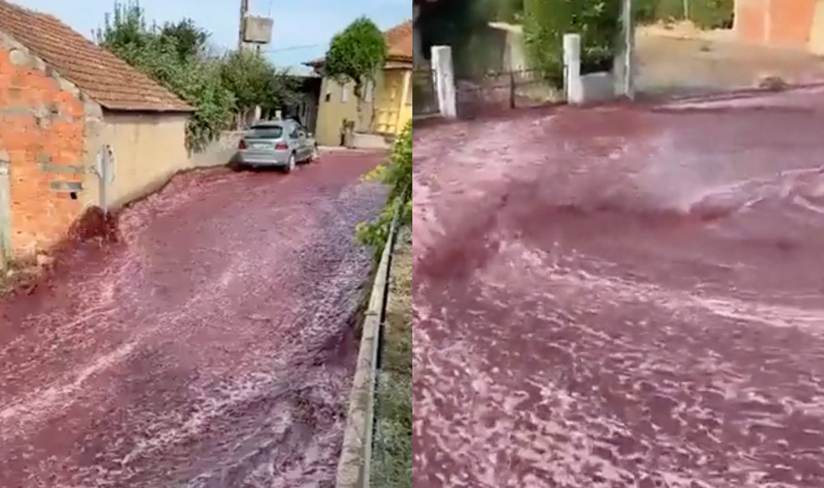 Portugalijoje gatves užliejo raudonas vynas