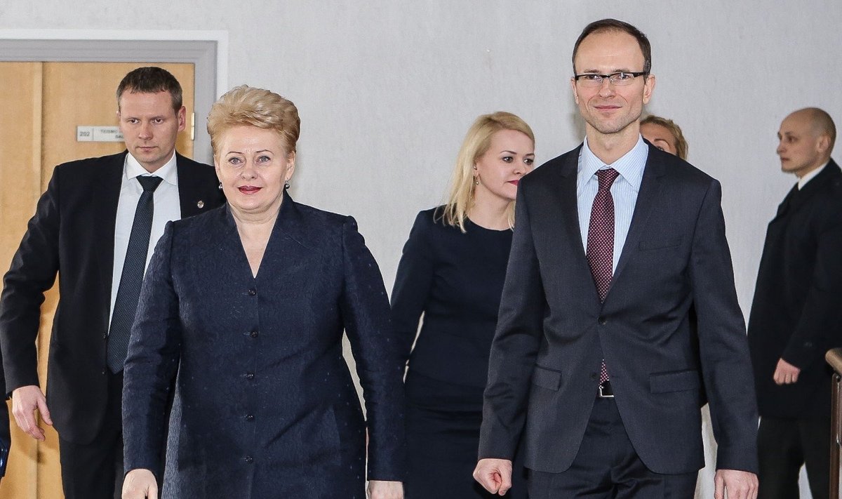 Dalia Grybauskaitė, Rimvydas Norkus