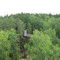 Lithuania opens unique treetop walkway