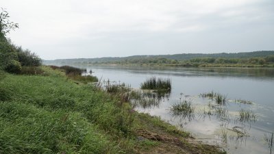 Kabliautojų pamėgta Nemuno pakrantė ties Žemosios Panemunės piliakalniu