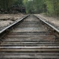 Verslininkas Udovickis nori tiesiogiai valdyti „Gargždų geležinkelį“