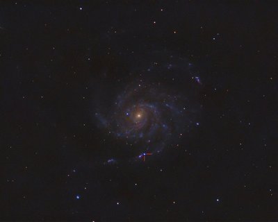 M101 galaktikoje užfiksuota supernova. A. Medvedevo nuotr.