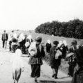JAV Senatas pripažino Holodomorą ukrainiečių tautos genocidu