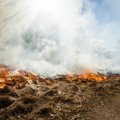 Sujudo žolės degintojai: draudikai įspėja apie gaisrų riziką