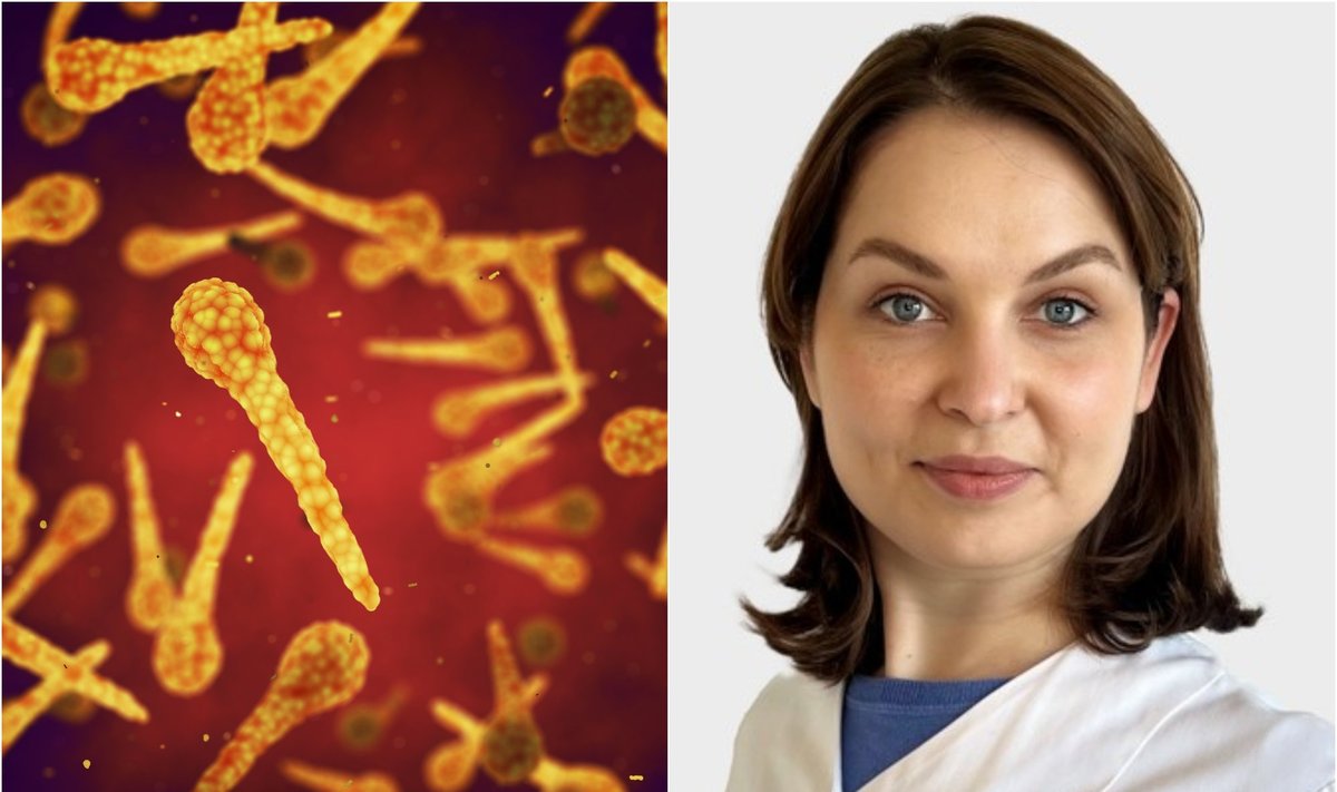 Gydytoja Kamilė Paulauskaitė papasakojo apie stabligę, kurią sukelia clostridium tetani bakterijos