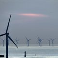 Vyriausybė nusprendė dėl teritorijos Baltijos jūroje, kur bus statomos vėjo elektrinės