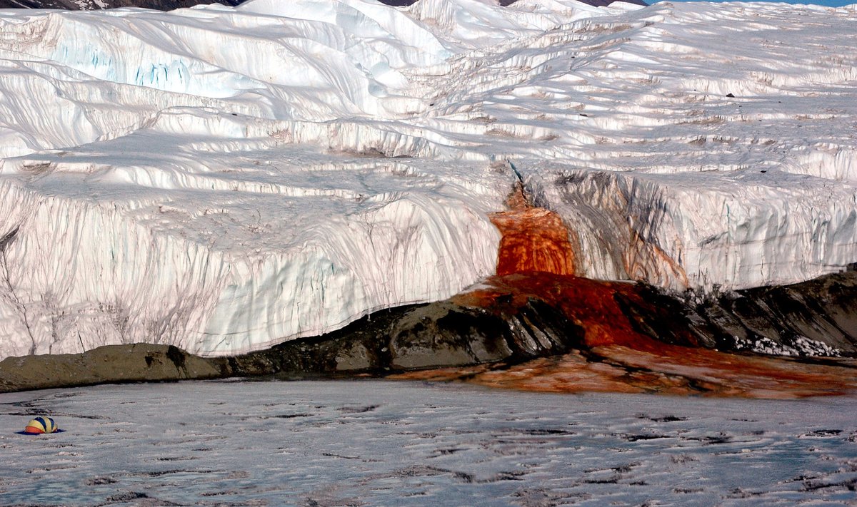 Kraujo krioklys Antarktidoje (P. Rejceko nuotr.)