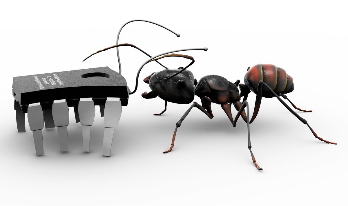 Ant robot