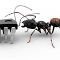 Žmonių darbo vietas kėsinasi suryti robotizuotų skruzdžių tuntai